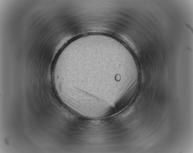 X0000097490883200803141954