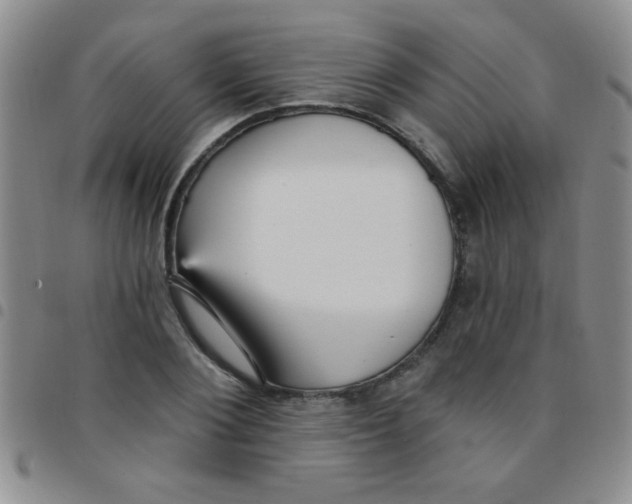 X0000097490884200803141954