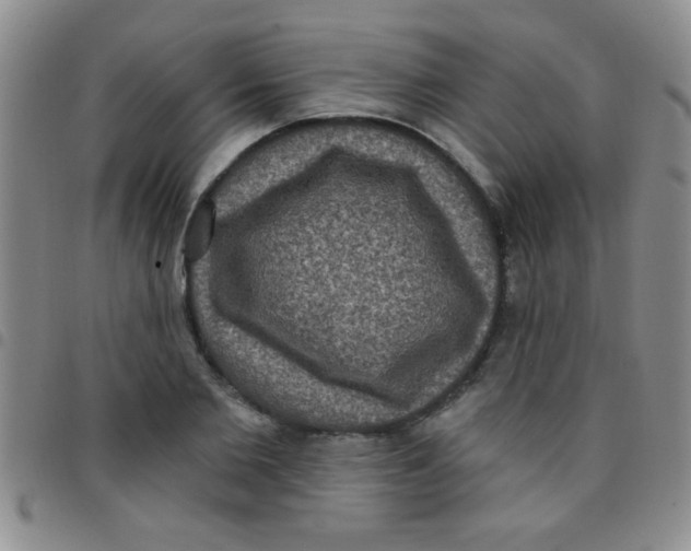 X0000097490885200803141954