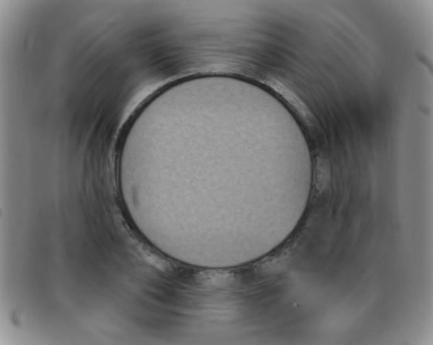 X0000097490886200803141954