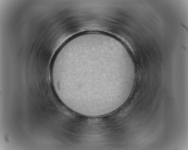 X0000097490887200803141954