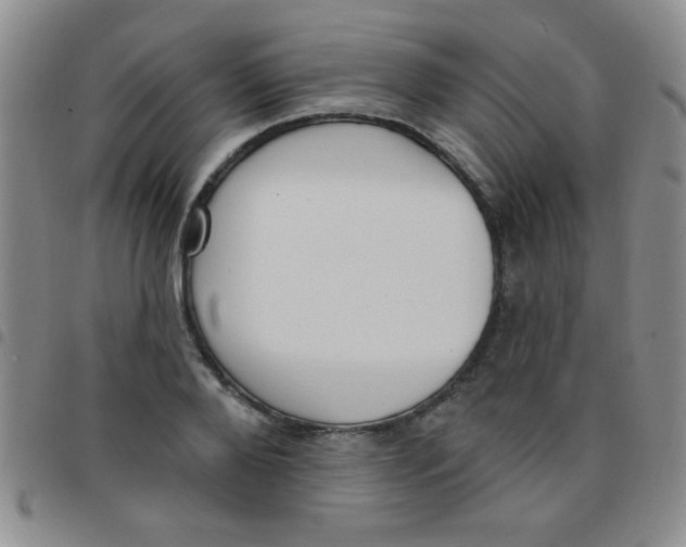 X0000097490888200803141954