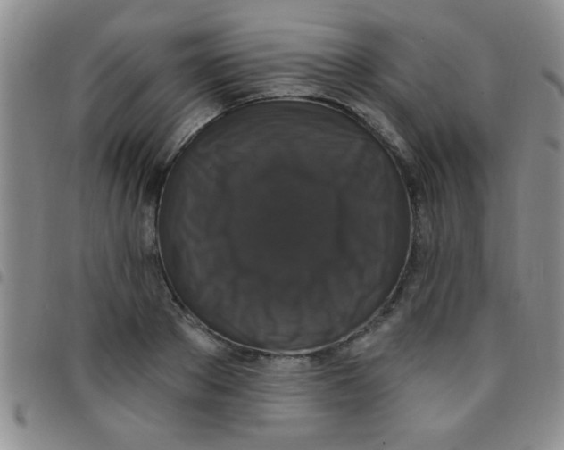 X0000097490889200803141954