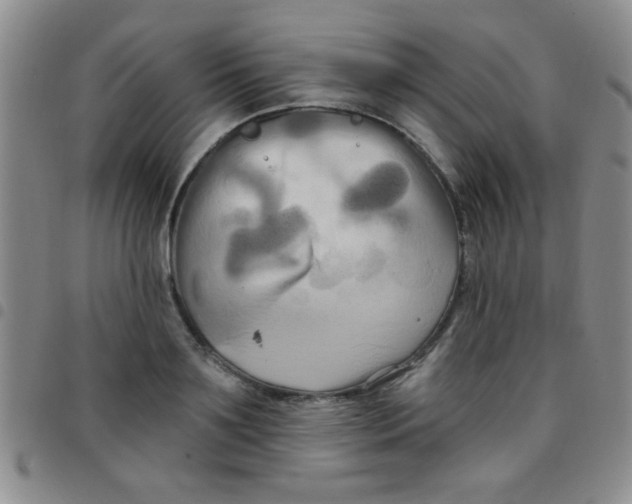 X0000097490891200803141954