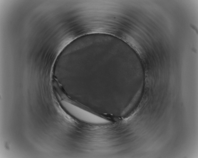 X0000097490892200803141954