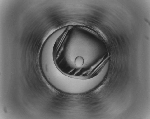 X0000097490893200803141954