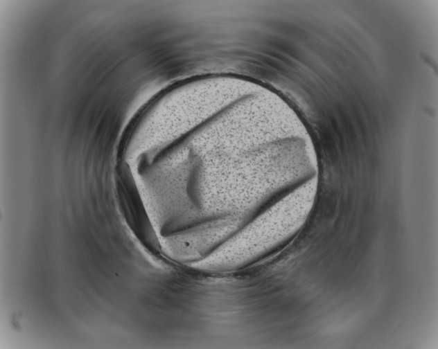 X0000097490894200803141954