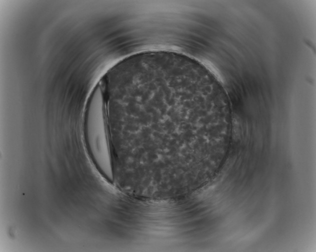 X0000097490895200803141954