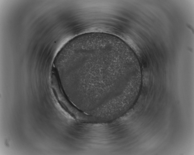 X0000097490896200803141954