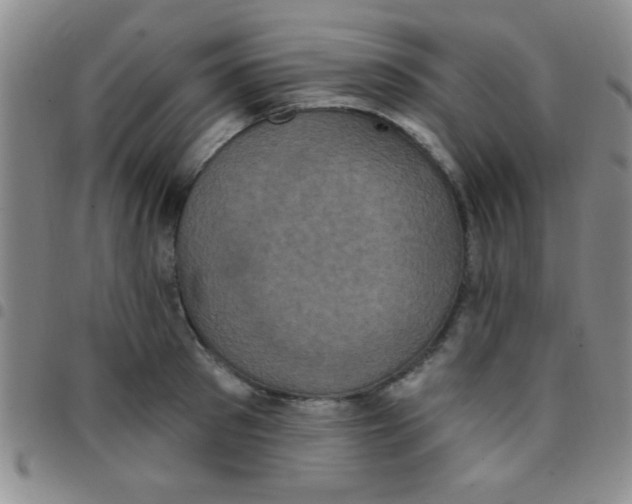 X0000097490897200803141954