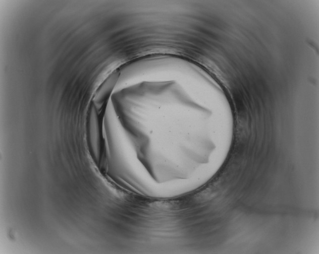 X0000097490898200803141954