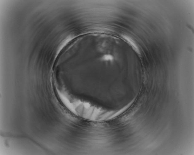 X0000097490899200803141954