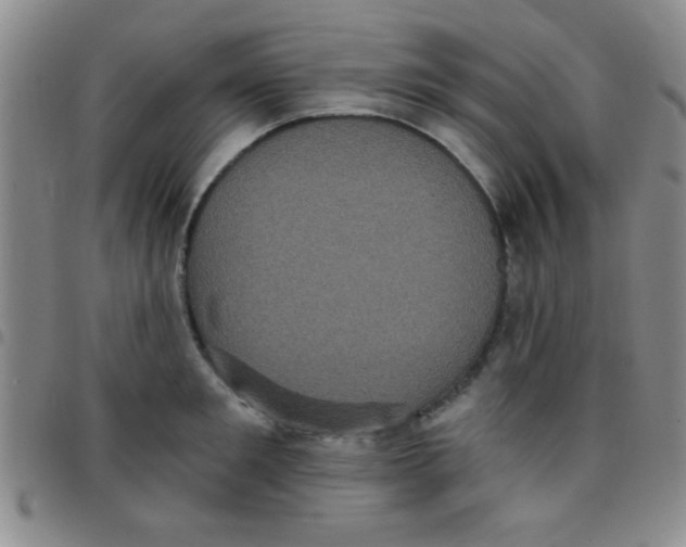 X0000097490901200803141954