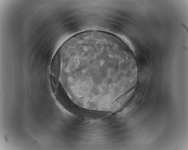 X0000097490903200803141954