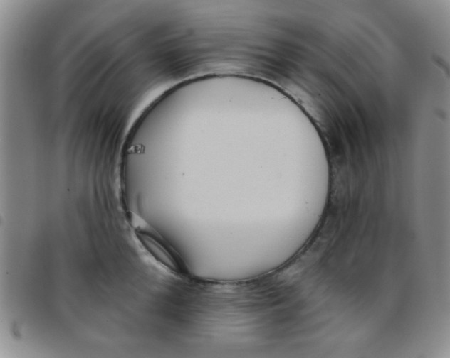 X0000097490904200803141954