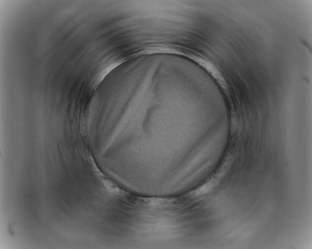 X0000097490905200803141954