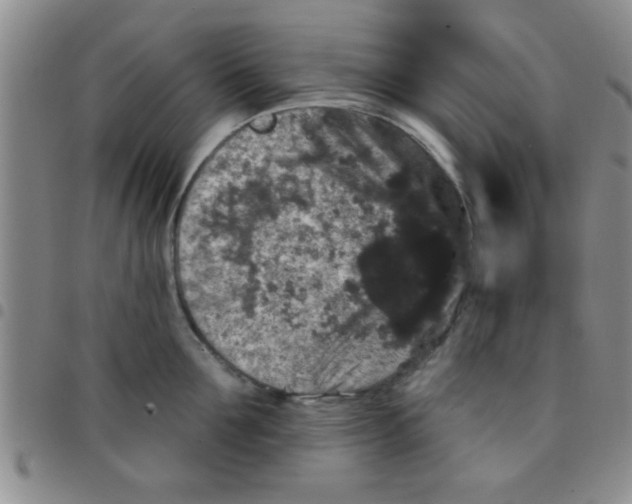 X0000097490907200803141954