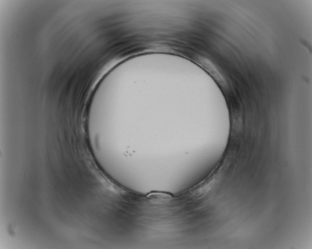 X0000097490908200803141954