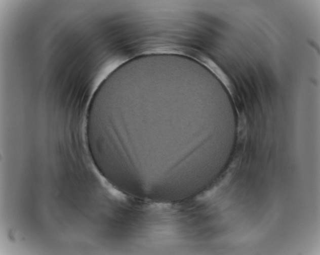 X0000097490909200803141954