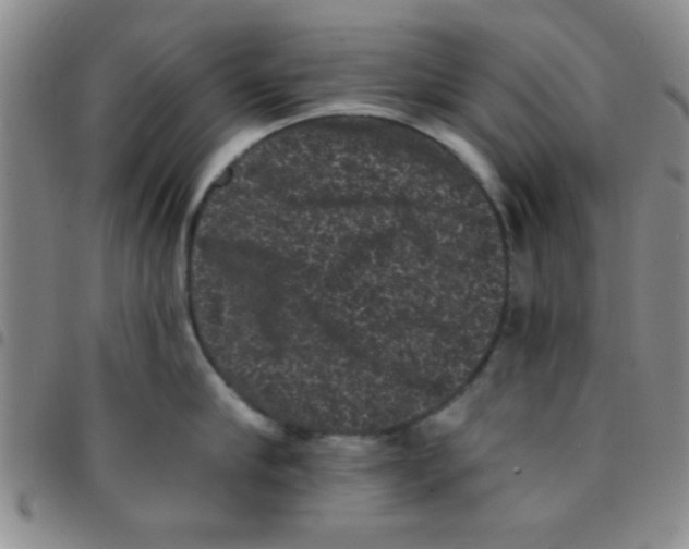 X0000097490910200803141954