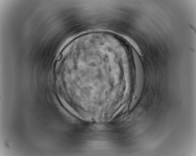 X0000097490911200803141954