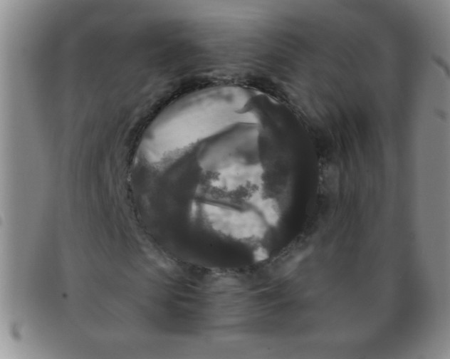 X0000097490913200803141953