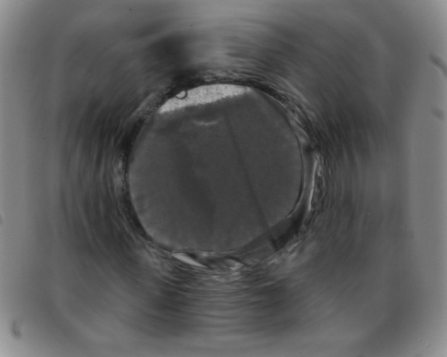 X0000097490915200803141953