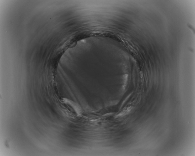 X0000097490916200803141953