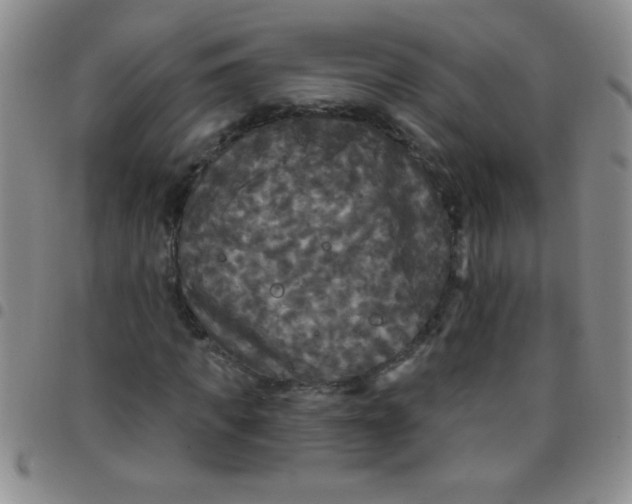 X0000097490917200803141953