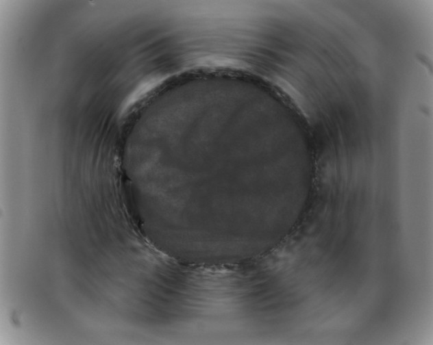 X0000097490919200803141953