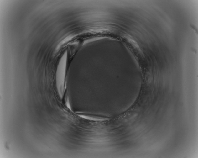 X0000097490920200803141953