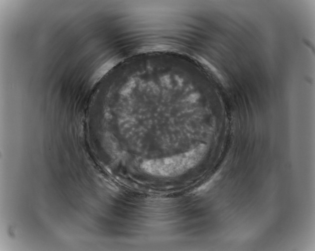 X0000097490921200803141953