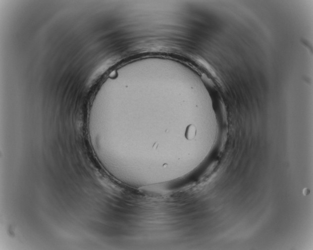 X0000097490922200803141953