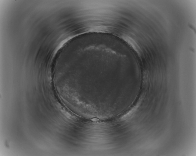 X0000097490923200803141953