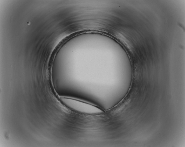 X0000097490924200803141953