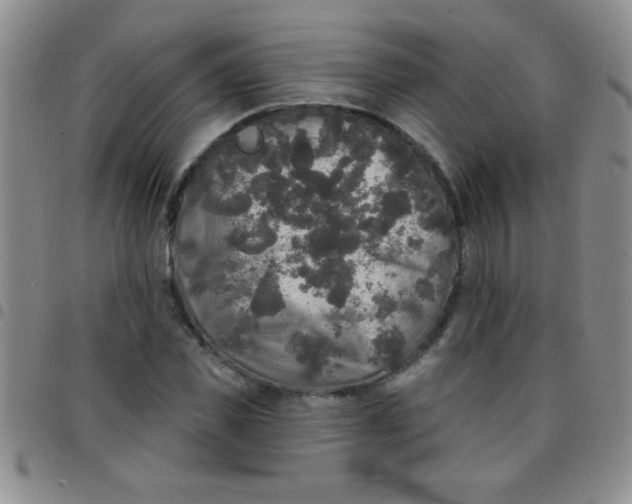 X0000097490925200803141953