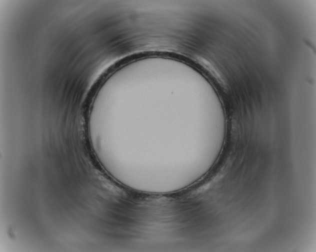 X0000097490926200803141953