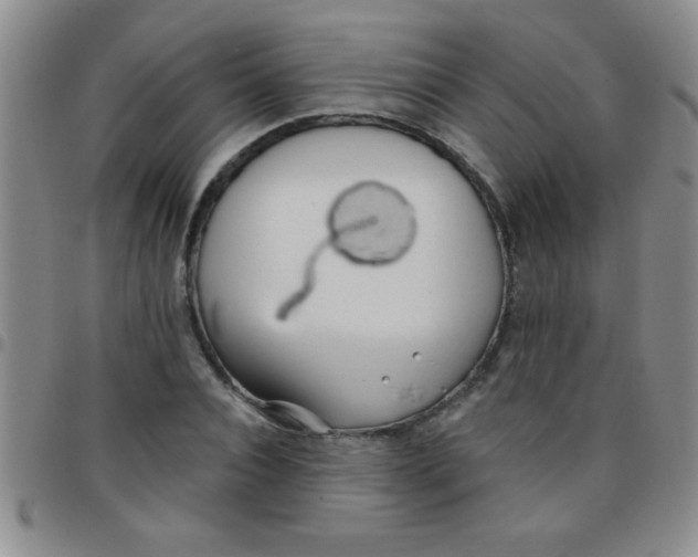 X0000097490928200803141953