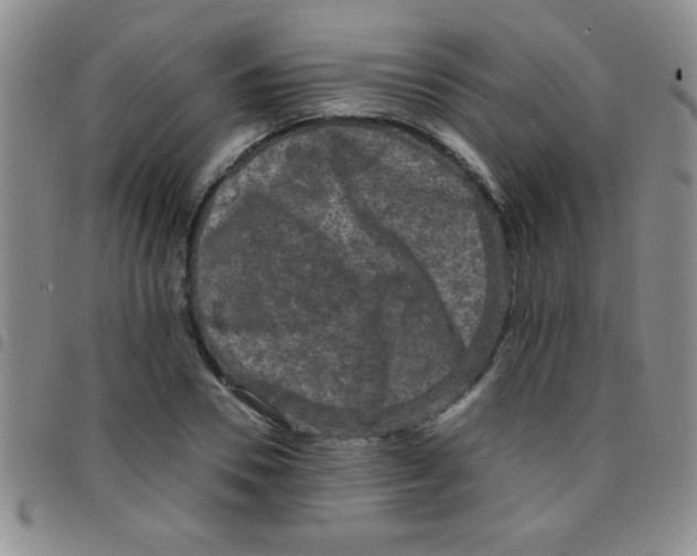 X0000097490930200803141953