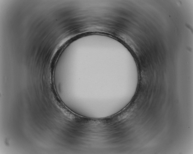 X0000097490931200803141954