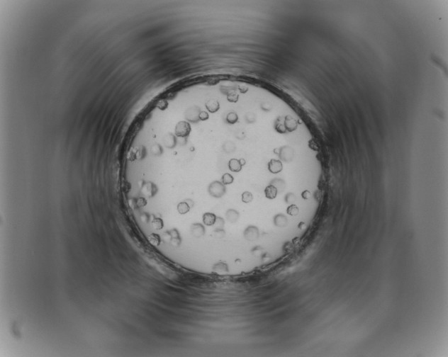 X0000097490933200803141954