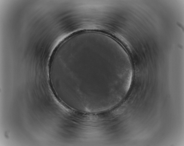 X0000097490935200803141954