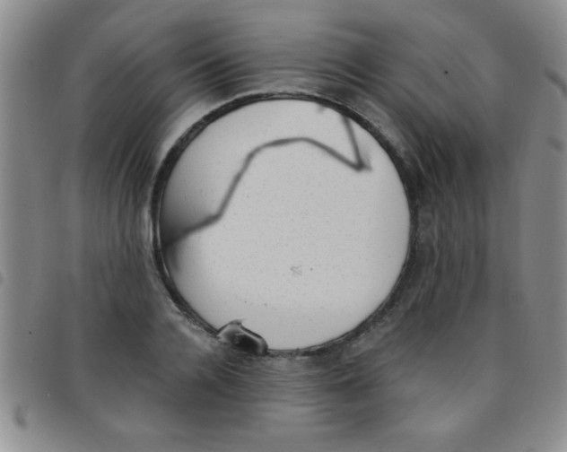 X0000097490936200803141954