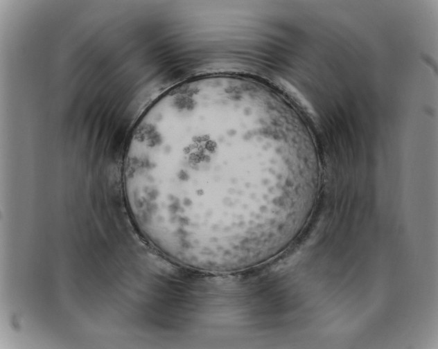 X0000097490937200803141954