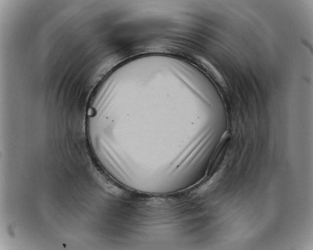 X0000097490938200803141954