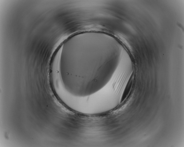 X0000097490941200803141954