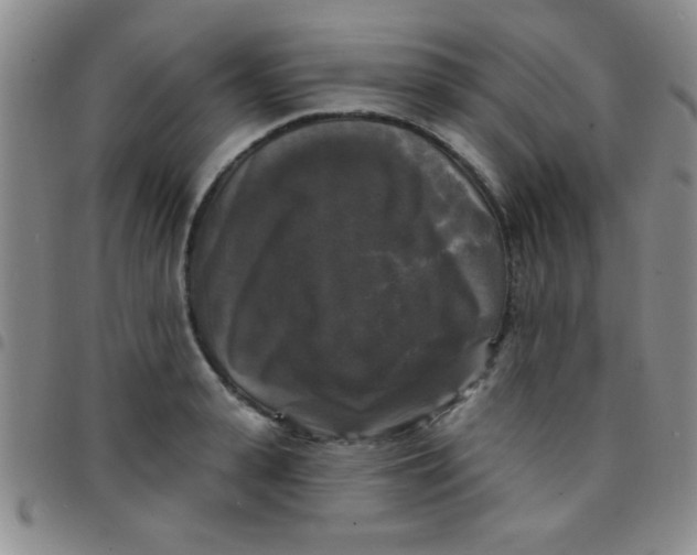 X0000097490943200803141954