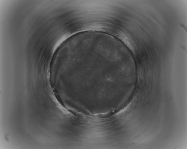 X0000097490944200803141954