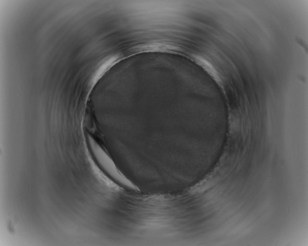 X0000097490946200803141954