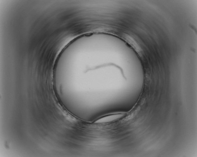 X0000097490948200803141954